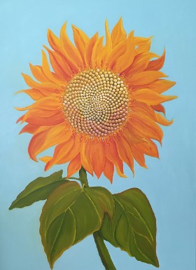 Martha Stewart Sunflower, Celebrity Series