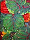 Sea Grape Leaves No. 1, a painting by American Nature Painter, Judith A. Maddox Saylor at JAMS Artworks.