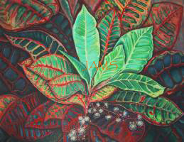 Croton No. 1 by American Nature Painter, Judith A. Maddox Saylor.