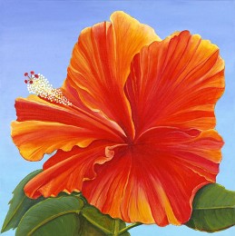 Hibiscus, No. 2, JAM Saylor