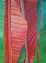 Heliconia,No.5_JAM Saylor,AmericanNaturePainter